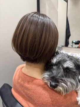 ドッグマニアピンチアオヤマ(DOGMANIA PiNCH AOYAMA) ショートボブ/白髪ぼかし/髪質改善/表参道/青山