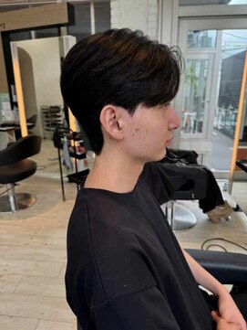 ダブル(W) メンズ/ビジネスショート