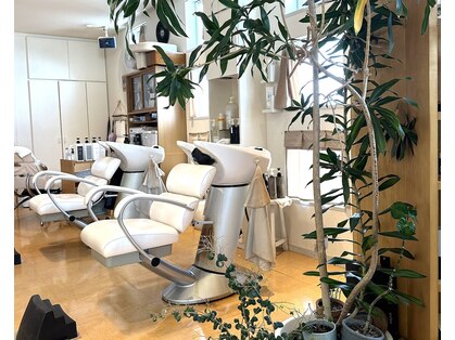 イデア エルキューヴ(IDEA ELECUVE)の写真