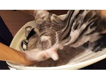 ☆魔法のシャンプーでシャンプーします☆