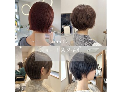 シーン(scene)の写真