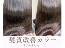 サネリ(Saneli)