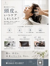 セクション(SECTION)