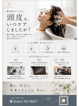 セクション(SECTION)の写真/髪のケアは地肌のケアから♪秋のケアキャンペーンで10年後の髪と地肌を守る至福の時間を◎　9月1日スタ－ト