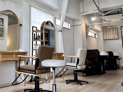 ウォーターリリー(Water Lily)の写真