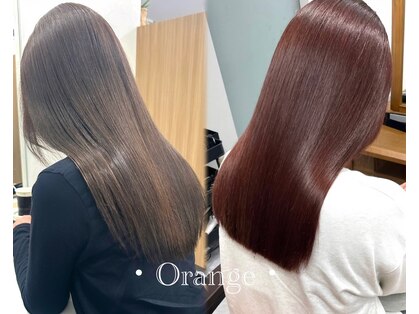 オレンジ(orange)の写真