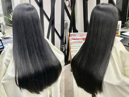 レディーバード(Lady bird)の写真