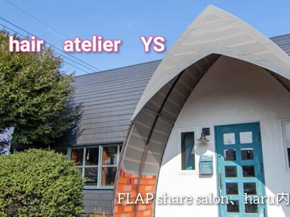 ワイエス(YS)の写真