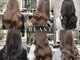 ヘアーアンドケアブラスト(HAIR CARE Blast)の写真