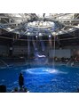 セレンディピティ(SERENDIPITY hair design)&nbsp;水族館年間パスポートをゲット癒されに。