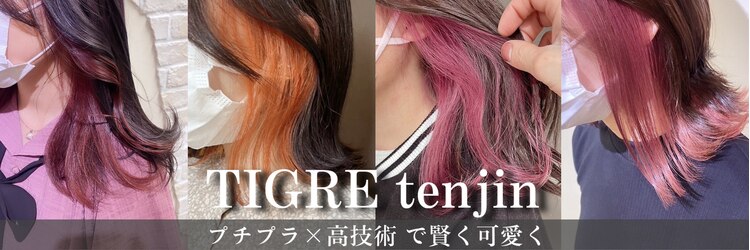 ティグル テンジン(TIGRE tenjin)のサロンヘッダー