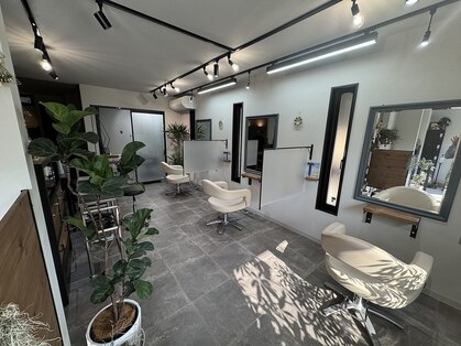 シバヘアー(shiba hair)の写真