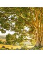 オーガニックヘアサロン ツリー(organic hair salon Tree) Tree 三萩野