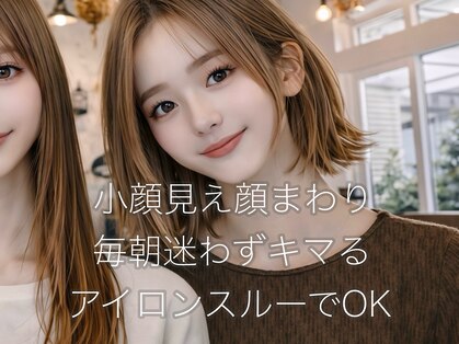 ソーイ(sowi)の写真