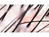 カウンセリング+頭皮診断無料