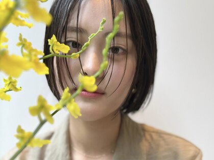コンベックス(convex)の写真