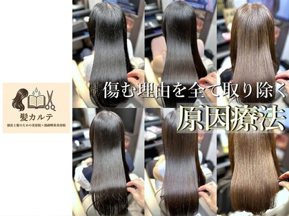 髪カルテの写真