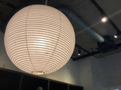 トリコ(trico)の写真