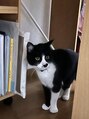 ウィールール 白石店(WE RULE)&nbsp;実家に猫が2匹います♪