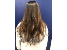 メトセラ ポロロッカ