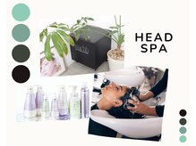 ～育毛促進ヘッドスパが人気な理由とは？～プロの美容師がオススメする育毛促進ヘッドスパの解説☆