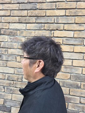 ロマン(Roman) メンズハイライトカラー