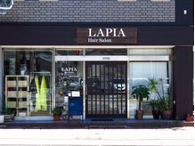 ラピア(LAPIA)の雰囲気（セブンイレブン岩川町店様の目の前です♪）