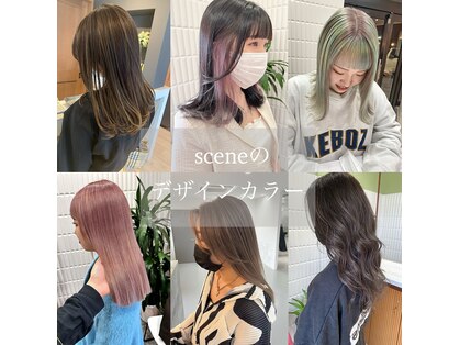 シーン(scene)の写真