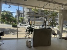 コージー(cozy)の雰囲気（光がたっぷり入る、居心地のいいギャラリー風サロン♪）