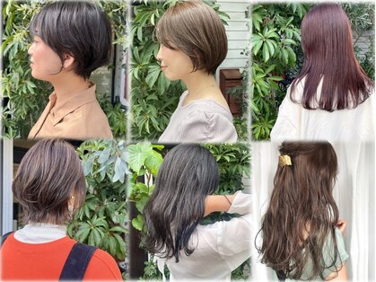 グランプ(gramp)の写真