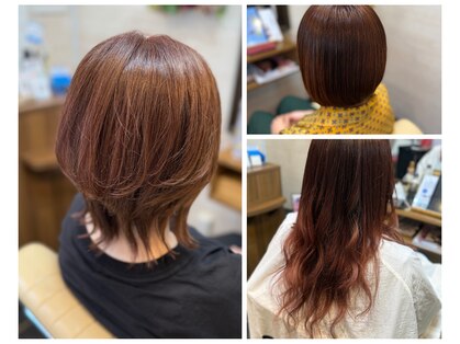 プルームエル(plume aile)の写真