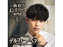 デルフィーノ ヘアーパフォーム(delfino hair perform)