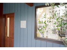 オリーブの木と平屋を改装してウッドとブルーを基調に◎