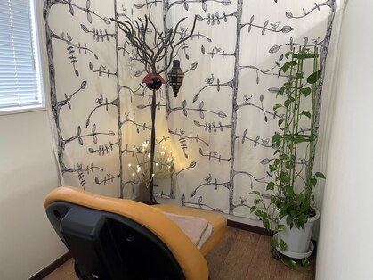 ペコリ PECORIの写真