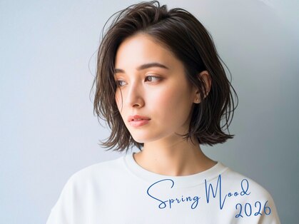 ジエクト ヴィシア(The Ect VIXIA)の写真