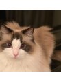 シスコ ヘア デザイン(Scisco hair design) my family☆猫好き大歓迎です♪♪