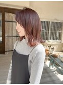 大人ミディ/カシスブラウン