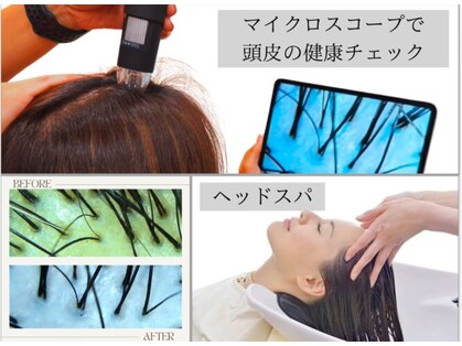 トウカ 南行徳店(TOUKA)の写真