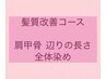 髪質改善カラーコース ●肩甲骨辺りの長さ 全体染め