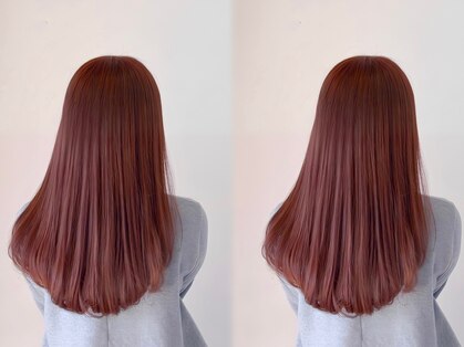 ウォーターリリー(Water Lily)の写真