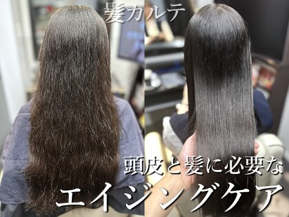 髪カルテの写真