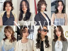 ナービス(NARVIS)