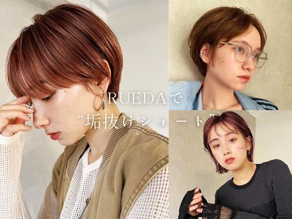 ルーダ(RUEDA)の写真