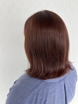 シーエーペッツ(CA-PETZ)&nbsp;パープルインナーカラー〔大畑〕