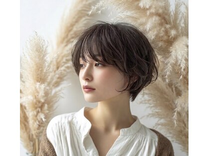 カミコーゼット グレイ(kamiko-Z Gray)の写真