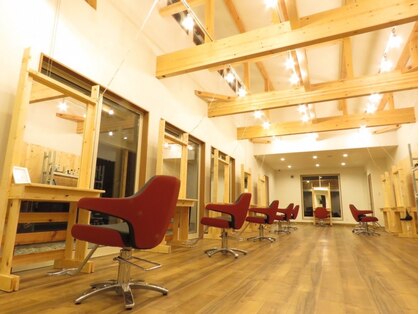 リタ(rita)の写真