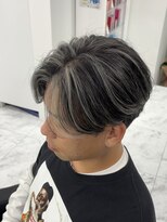 シルバーメッシュ/メッシュ