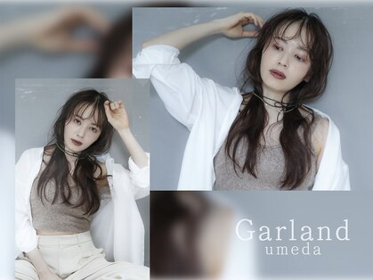 ガーランドウメダ(Garland umeda)の写真