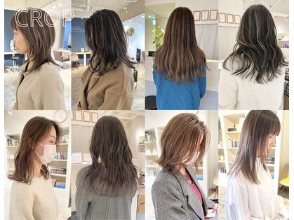 クロップ(CROP)の写真