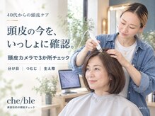 シェブル(che/ble)